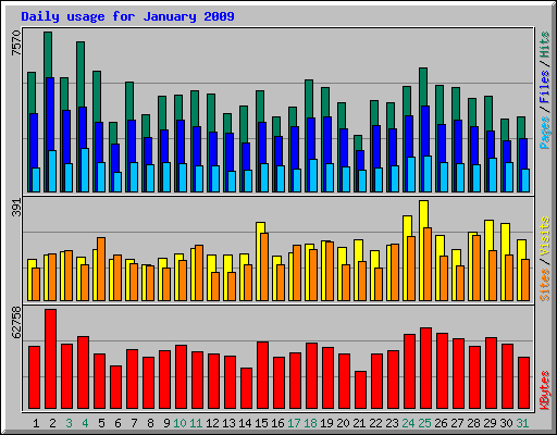 Daily usage for January 2009