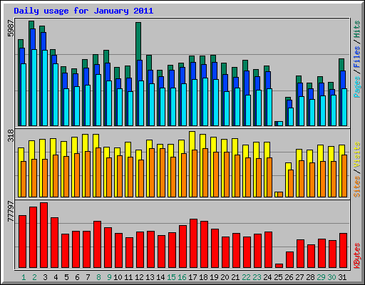 Daily usage for January 2011