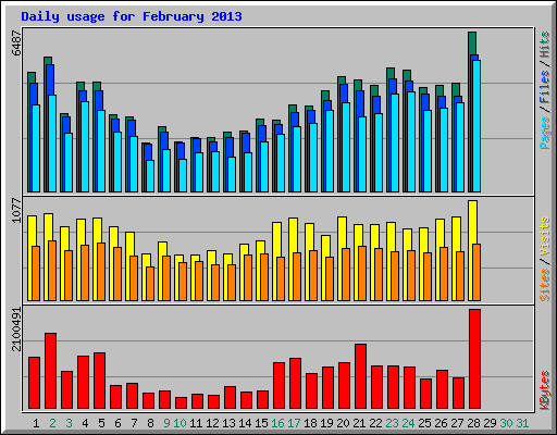 Daily usage for February 2013