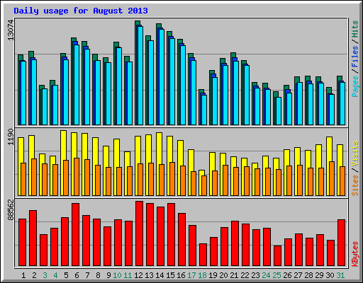 Daily usage for August 2013