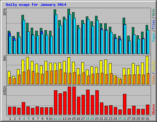 Daily usage for January 2014
