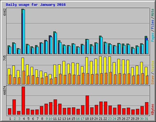 Daily usage for January 2016
