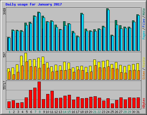 Daily usage for January 2017