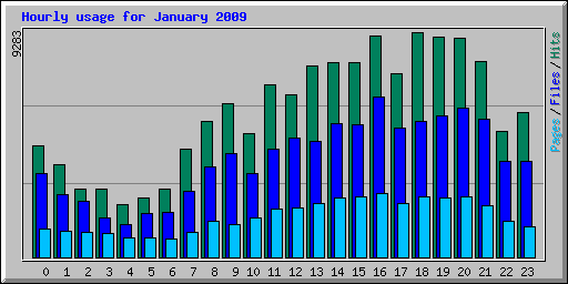 Hourly usage for January 2009