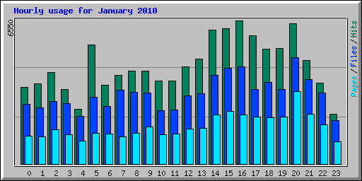 Hourly usage for January 2010