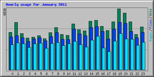Hourly usage for January 2011