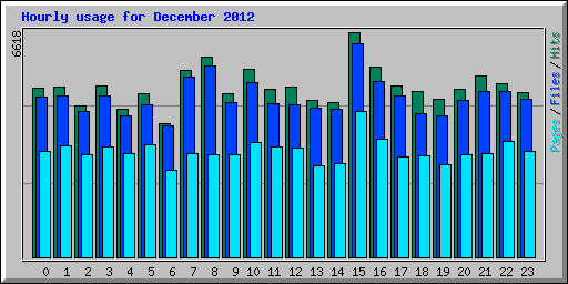 Hourly usage for December 2012