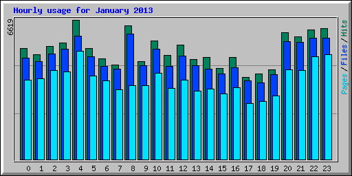 Hourly usage for January 2013