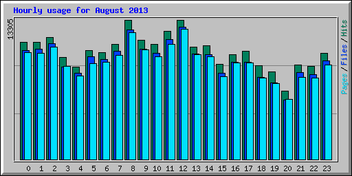Hourly usage for August 2013