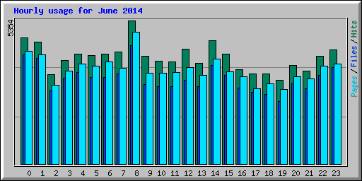Hourly usage for June 2014