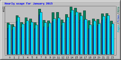 Hourly usage for January 2015