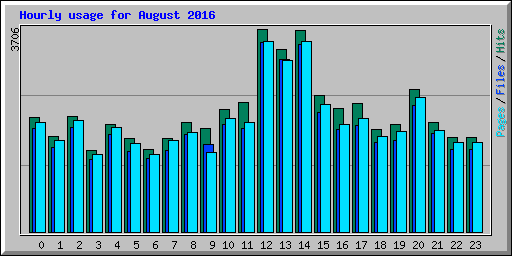 Hourly usage for August 2016