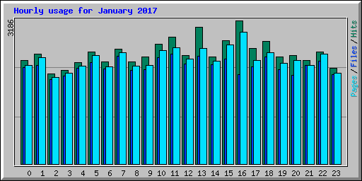 Hourly usage for January 2017