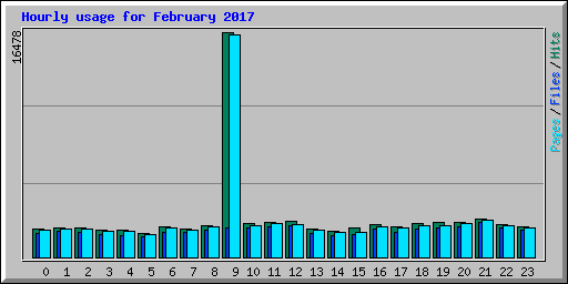 Hourly usage for February 2017
