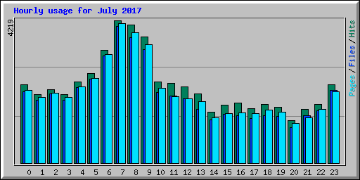 Hourly usage for July 2017